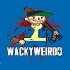 WackyW3irdo net worth