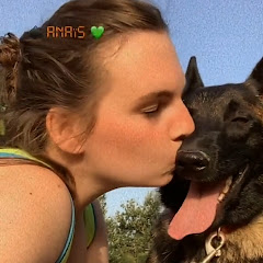 La malinoise des hôpitaux &Cie

