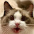 @jimmylindhorst3235