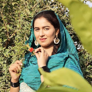Bulbul E Punjab Aliza Sehar YouTube Stats: Subscriber Count, Views ...