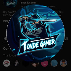 Tonde gamer TGR