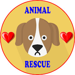 Animal Rescue Channel icon
