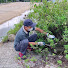 E7FeoV7I57k-channel-avatar-Clean up Mowing