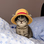 fluffycat