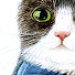 6uZMK0eTEQI-channel-avatar-Silvery Cat Art
