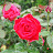 @rutchawankongboon3084 Avatar