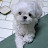 @알럽초코0903