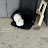 @MYhomefrontcat