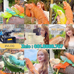 Pet Home Ngôi Nhà Thú Cưng