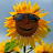 @sunflowerpower321