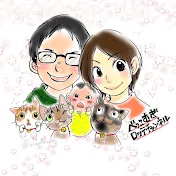 べっこむぎロッテチャンネル