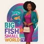 Big Fish Small World TV logo
