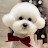 @구칸쵸-o1p