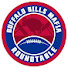 VtH1Kdle9aU-channel-avatar-Bills Roundtable and Buffalo Fanatics