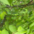 HVsIg3FStKU-channel-avatar-agus sinn