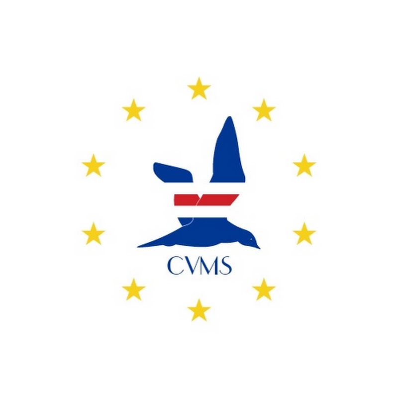 capeverdean_masswag