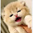 @dwfan-p3s8b