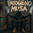 Patogeno musa