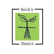 Becks Basics