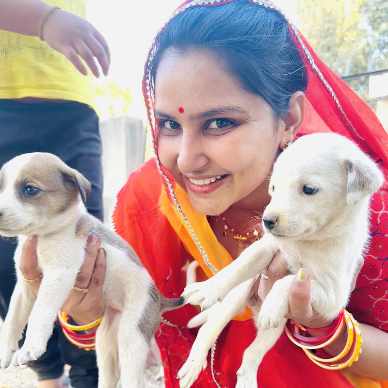Anu Choudhary Vlogs