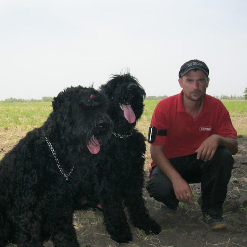 дрессировка как есть ...(Найденко Геннадий) Logo