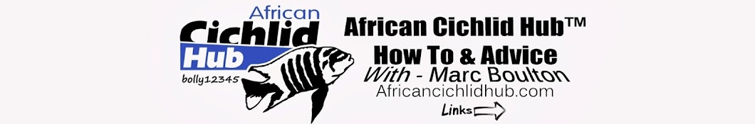 African Cichlid Hub Avatar de chaîne YouTube