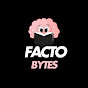 Facto Bytes logo