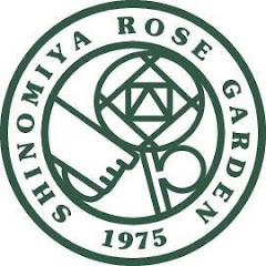 生産農家  篠宮バラ園 (春のみ営業)