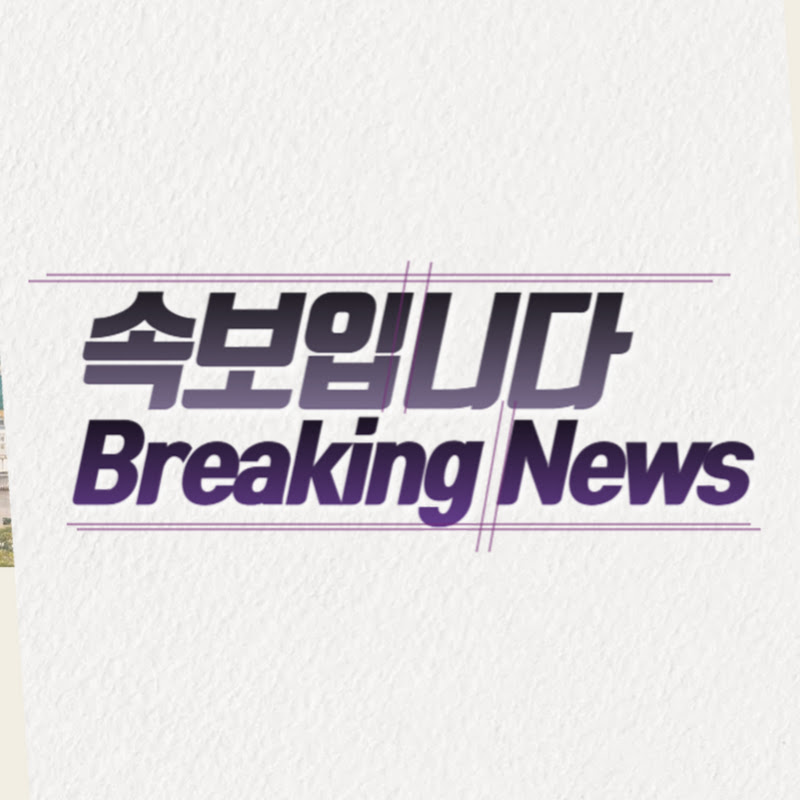 속보입니다