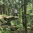 JfCH4q_15pU-channel-avatar-MegalithTVDeutschland