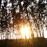 GkPNu-lwJPo-channel-avatar-JUST-ENJOY