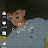 @shadiaMohamed-ev3fx