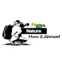 Nature Here & Abroad  logo