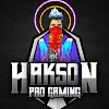 What could Hakson Pro Gaming buy with $8.47 million?