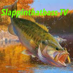 Slapthatbass TV