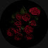 K7jBjvNXRfc-channel-avatar-unveiled
