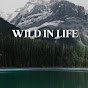 Wild in life logo