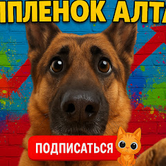 🐾Алтай  Немецкая овчарка 🐾
