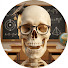 ndlzRKRnIuI-channel-avatar-Skeleton Teaches