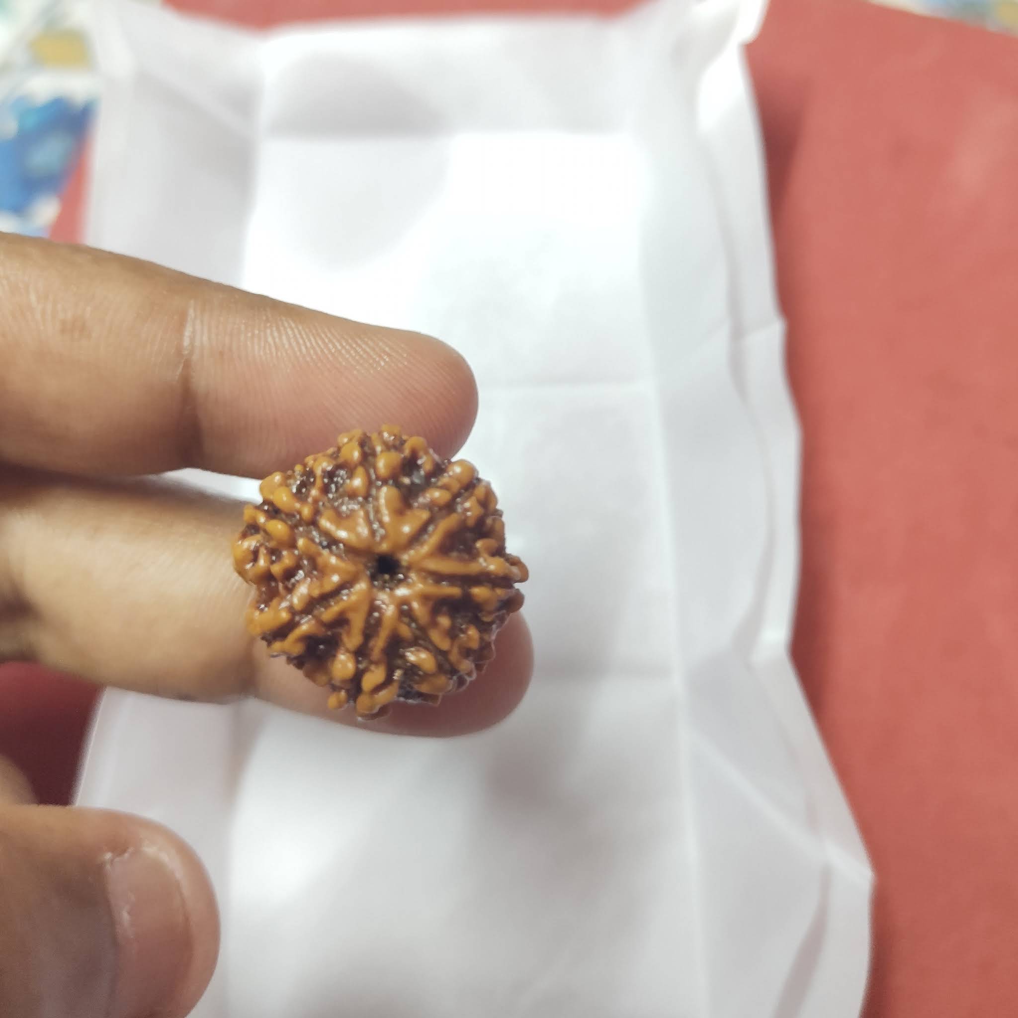 Post from Gurudev Bankesh Chakraborty Pal