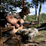 jrnwCDSjDjI-channel-avatar-GypsyJazzDiaries