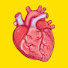 hR1UpQUhSt8-channel-avatar-Daily Cardiology
