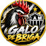 0MBQsoujFPU-channel-avatar-GALO DE BRIGA and VIBRA TORCEDOR