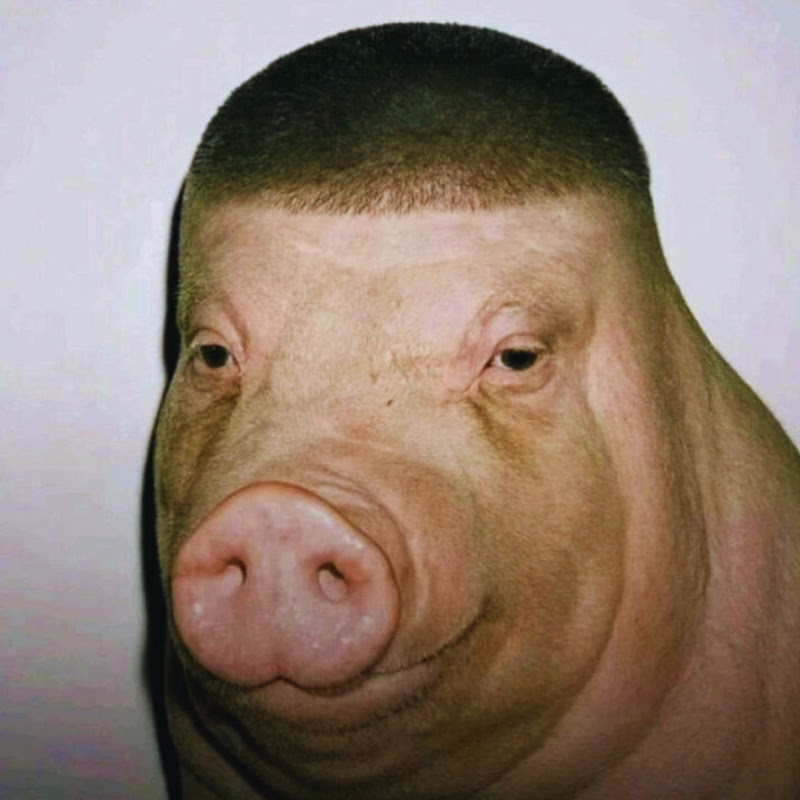 Piggy Bank icon