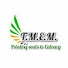 twt1HU6IVDk-channel-avatar-TMEM 