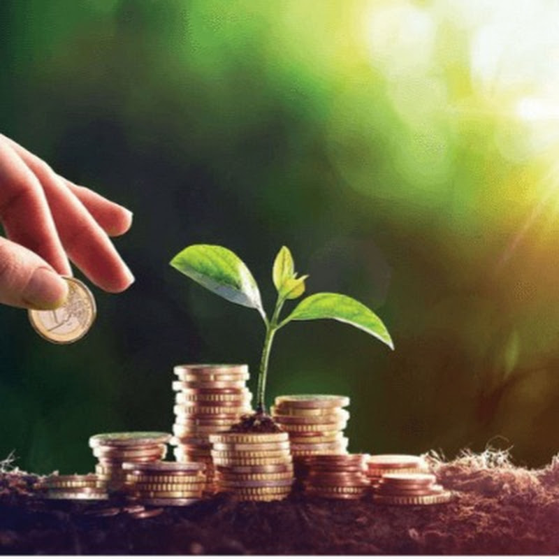 My3 Value investments