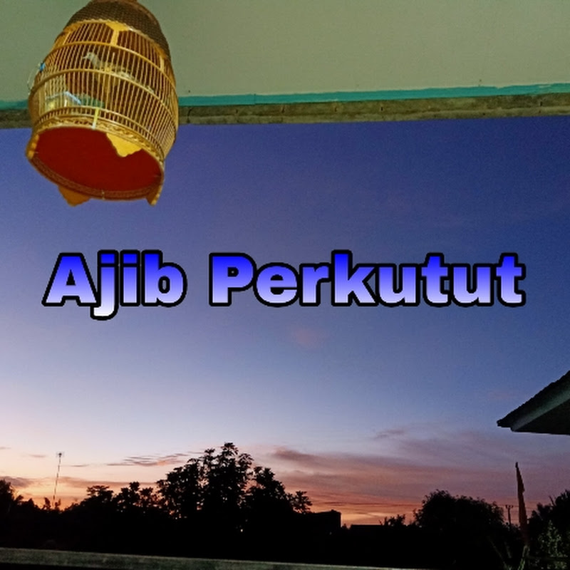 AJIB PERKUTUT