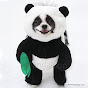 Huxley the Panda Puppy & Eugenia logo