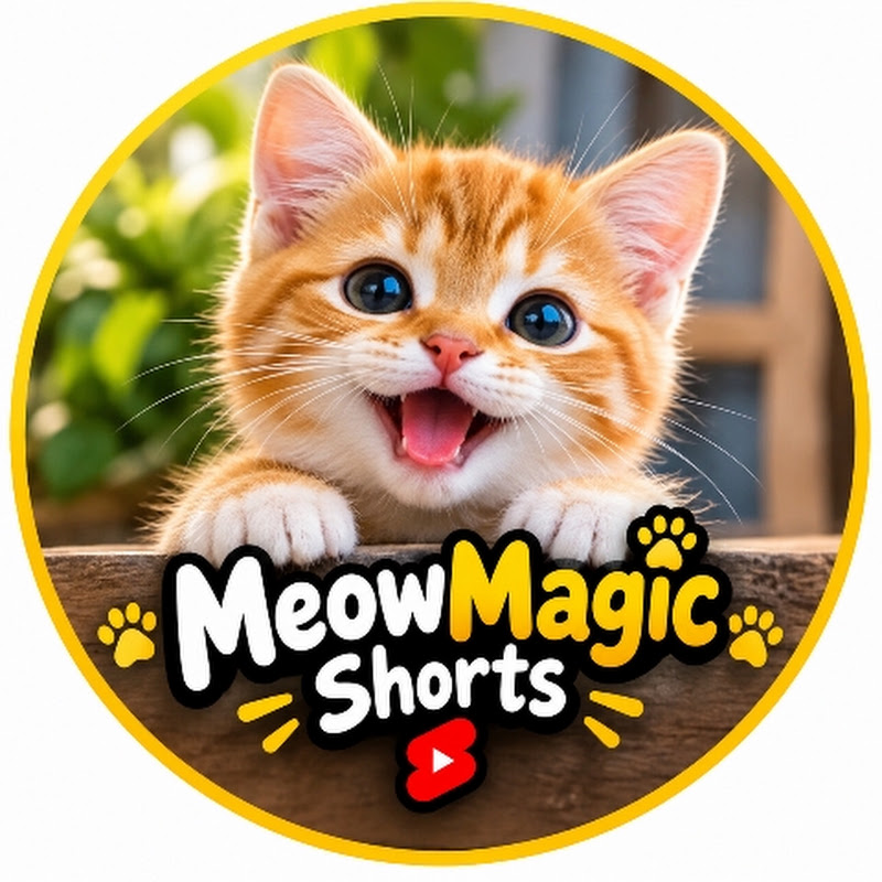 Kitty Tale Shorts
