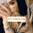 Jr39bWZDKRg-channel-avatar-استخارة ام ادم الموسوية العلوية